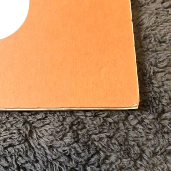 10x20‎ Orange Coast Guard Photo Mat - Picture 9 of 10